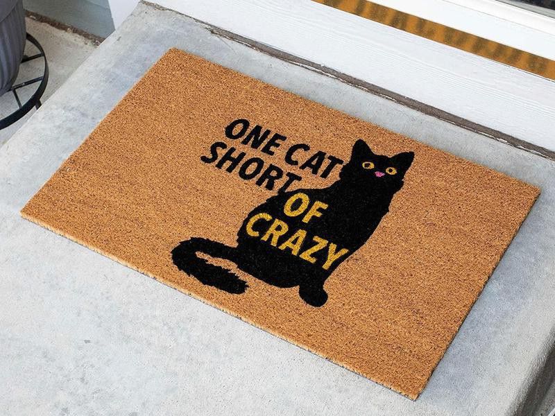 Funny cat doormat