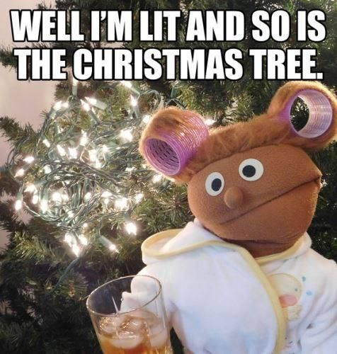 Funny Christmas tree meme