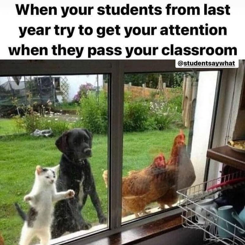 Funny classroom meme