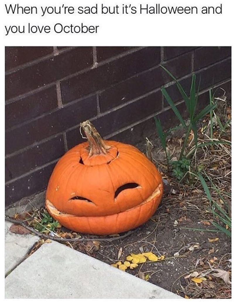 Funny crushed pumpkin meme