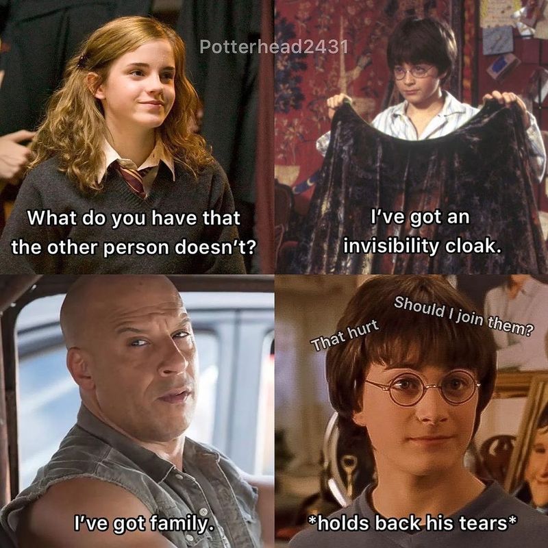 Funny Harry Potter meme