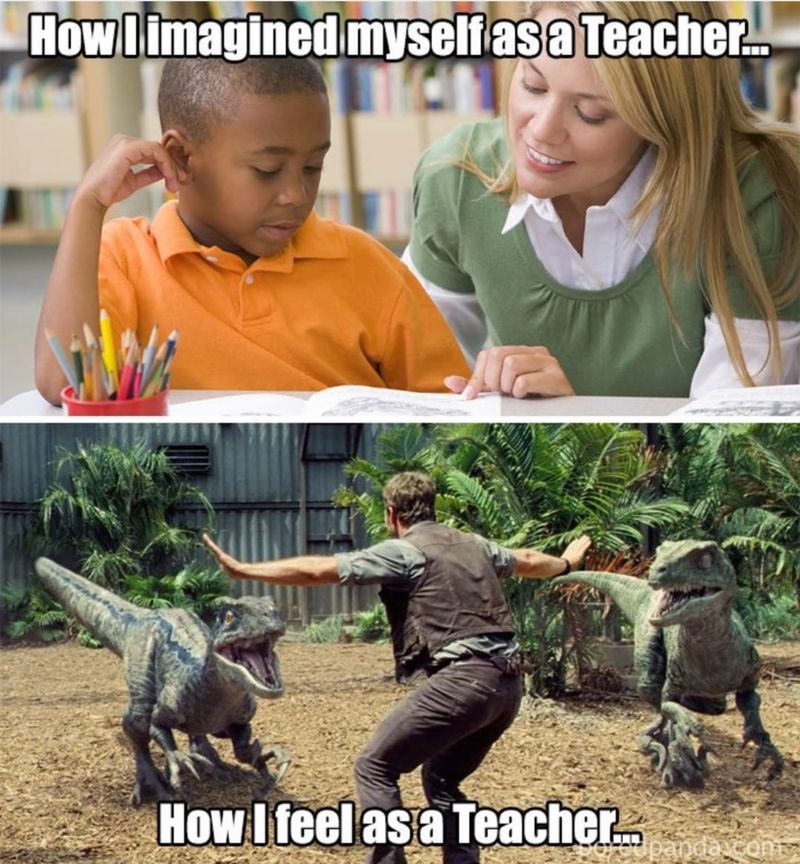 Funny meme about teaching