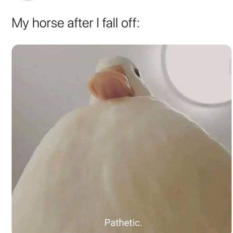 Funny meme falling off a horse
