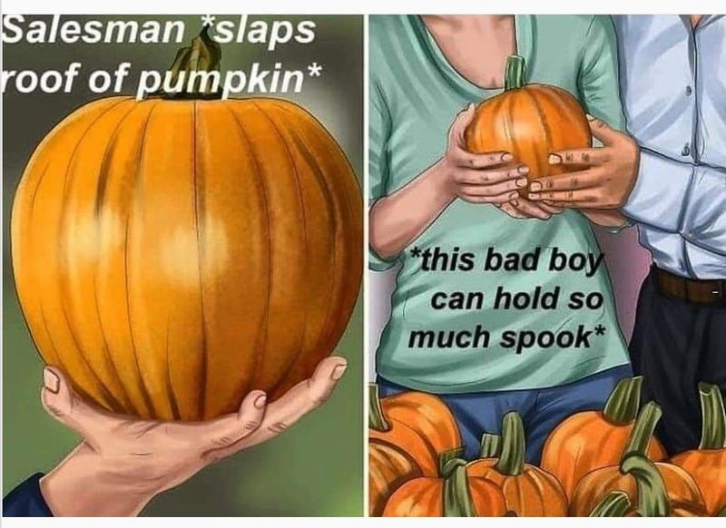 Funny pumpkin meme