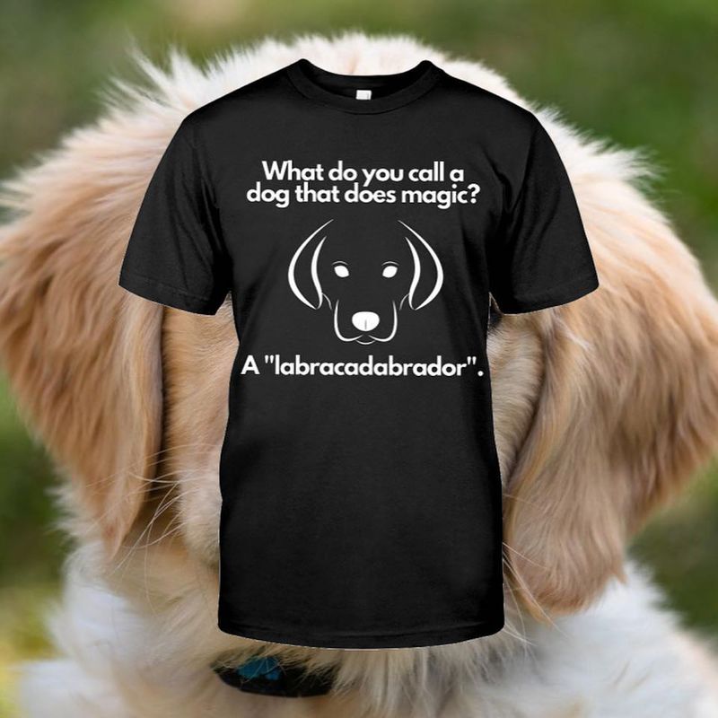 Funny Shirts for Dog Owners