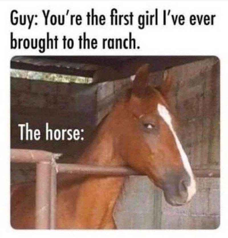 Funny, suspicious horse meme