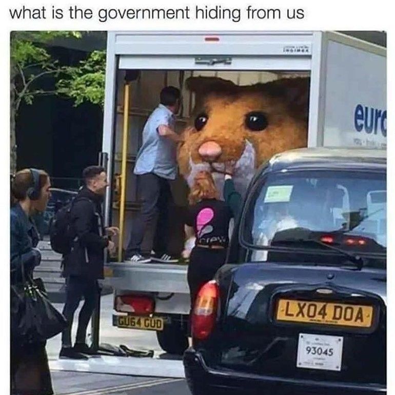 Giant hamster meme