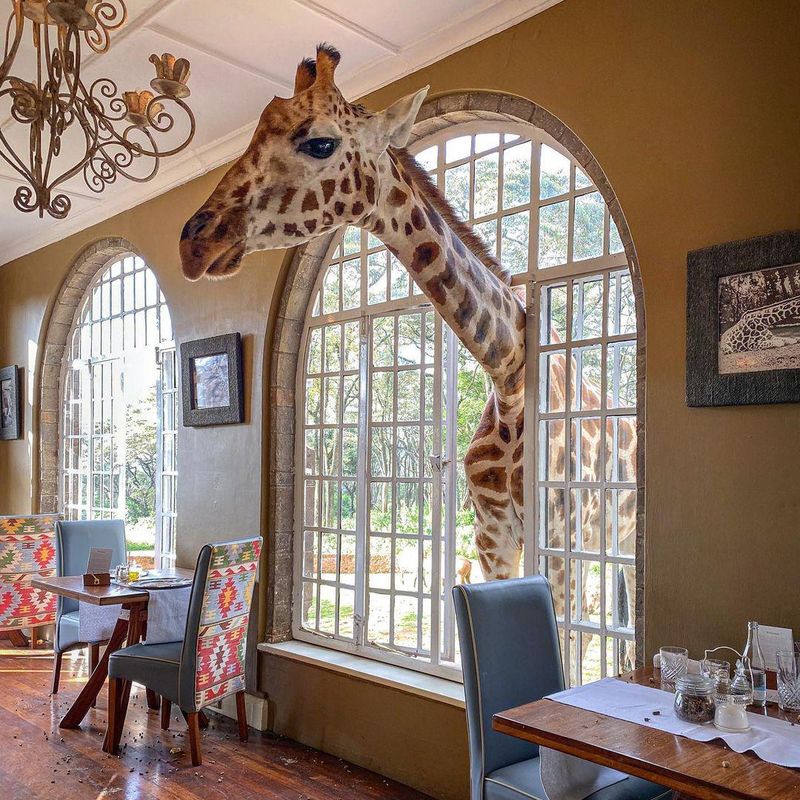 Giraffe Manor restaurant, Nairobi