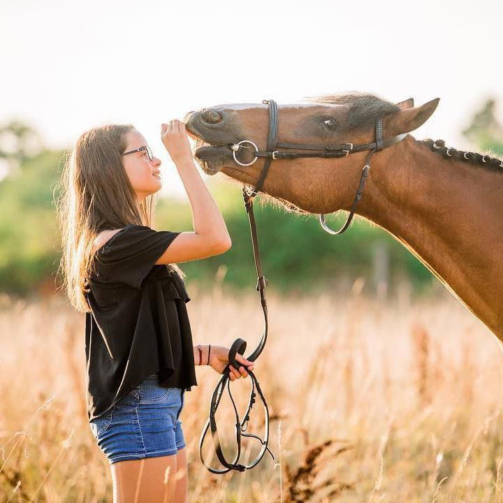 Girl Feeding a Smiling Horse