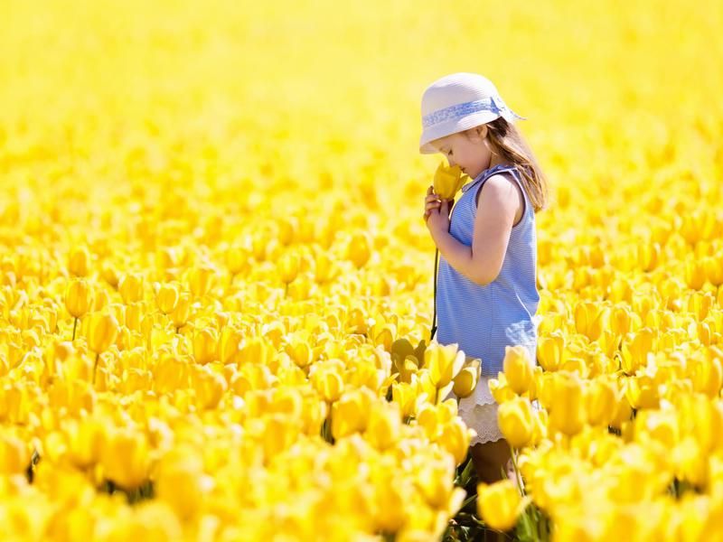 Girl in tulip field