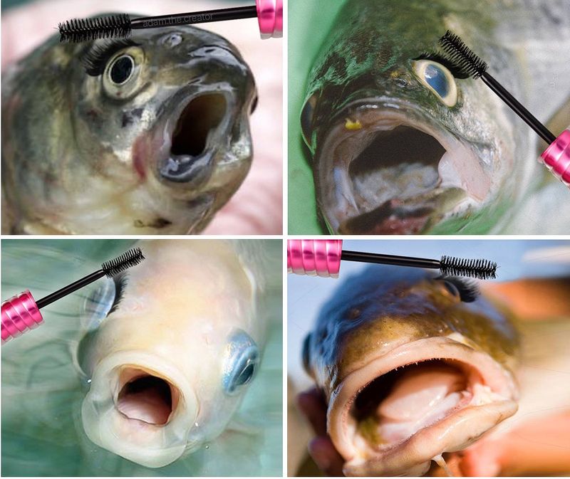 Girl mascara fish meme