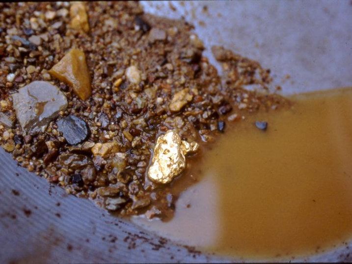 Gold panning in North Carolina