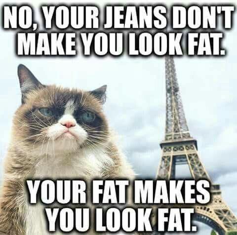 Grumpy cat fat joke