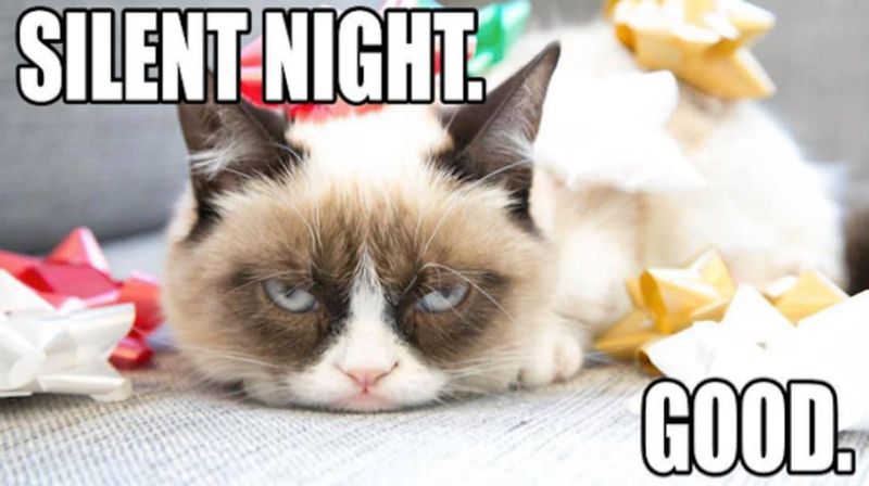 Grumpy cat holiday meme
