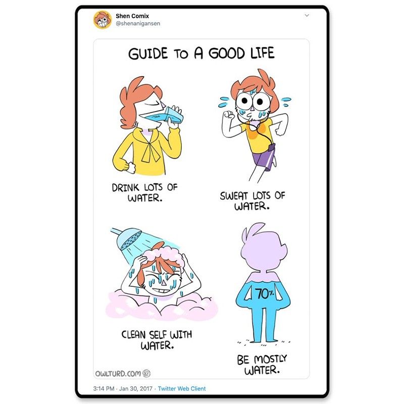 Guide to a good life