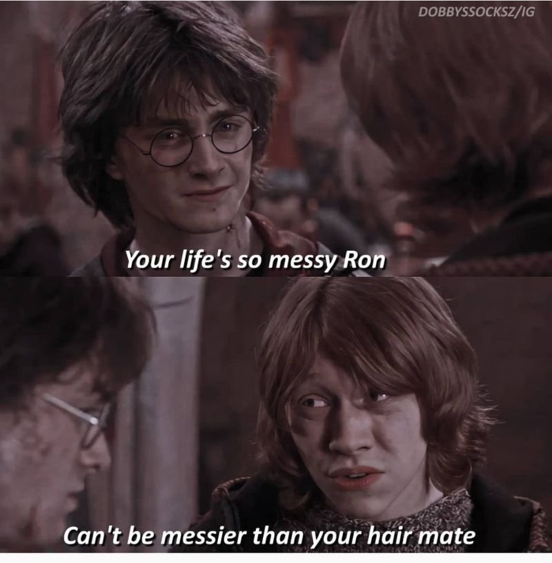 Harry Potter insult meme