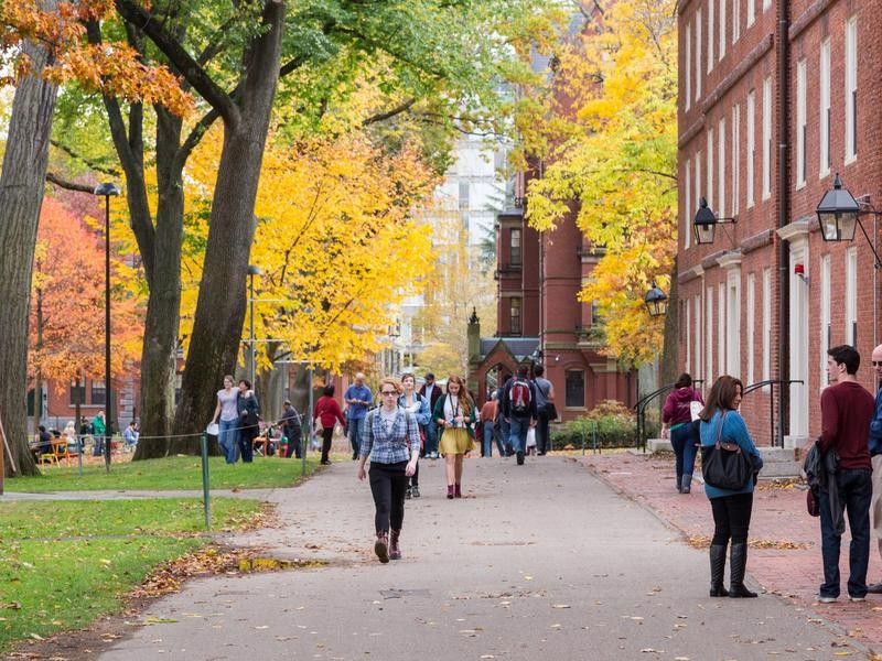 Harvard campus with brilliant fall foliage