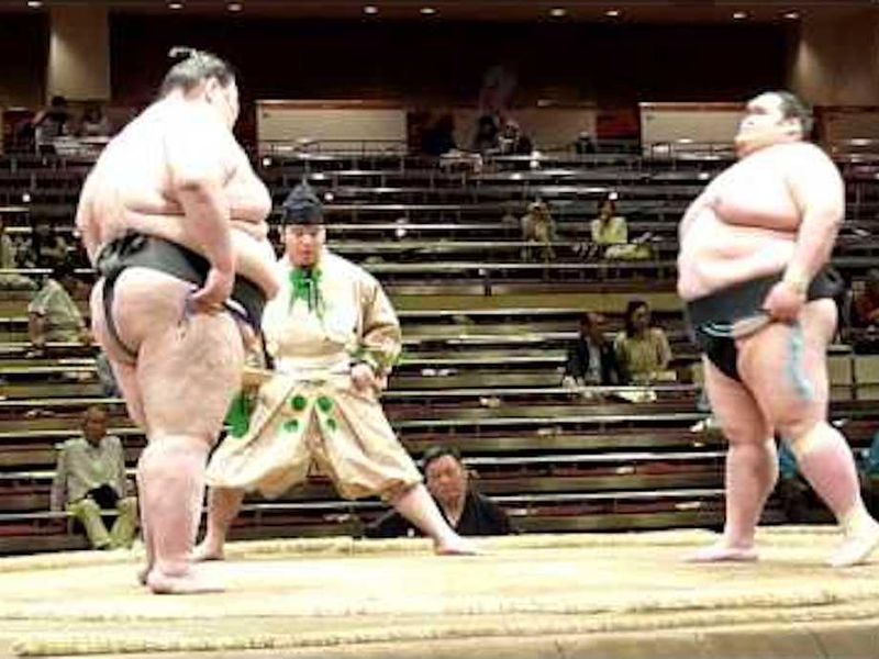 Heaviest Sumo Wrestler: Kenho