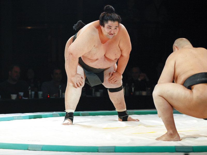 Heaviest Sumo Wrestler: Tominohana