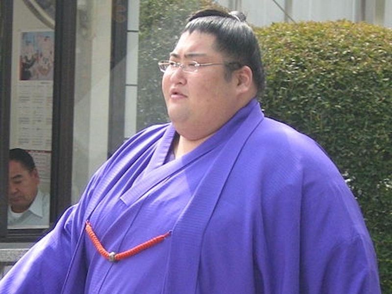 Heaviest Sumo Wrestler: Yamamotoyama