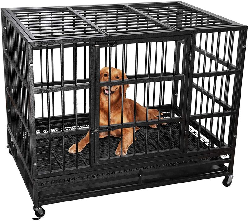 Heavy-duty dog kennel