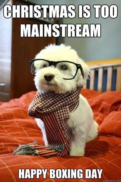 Hipster dog Christmas meme