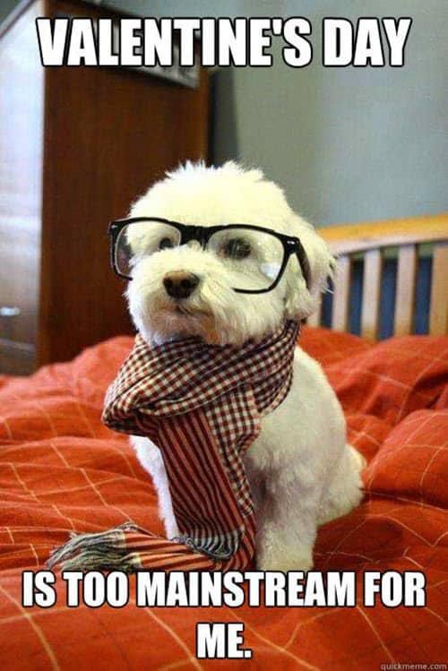 Hipster dog Valentine's Day meme