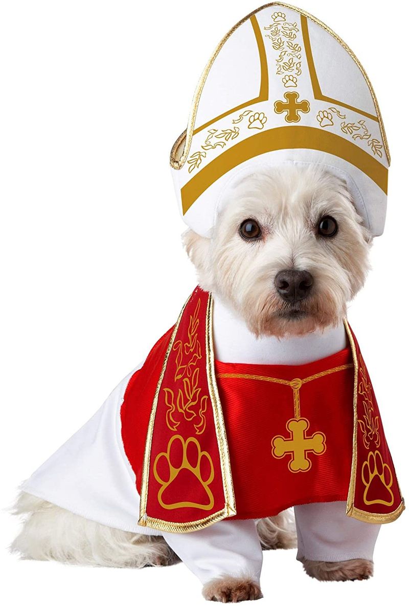 Holy hound dog costume
