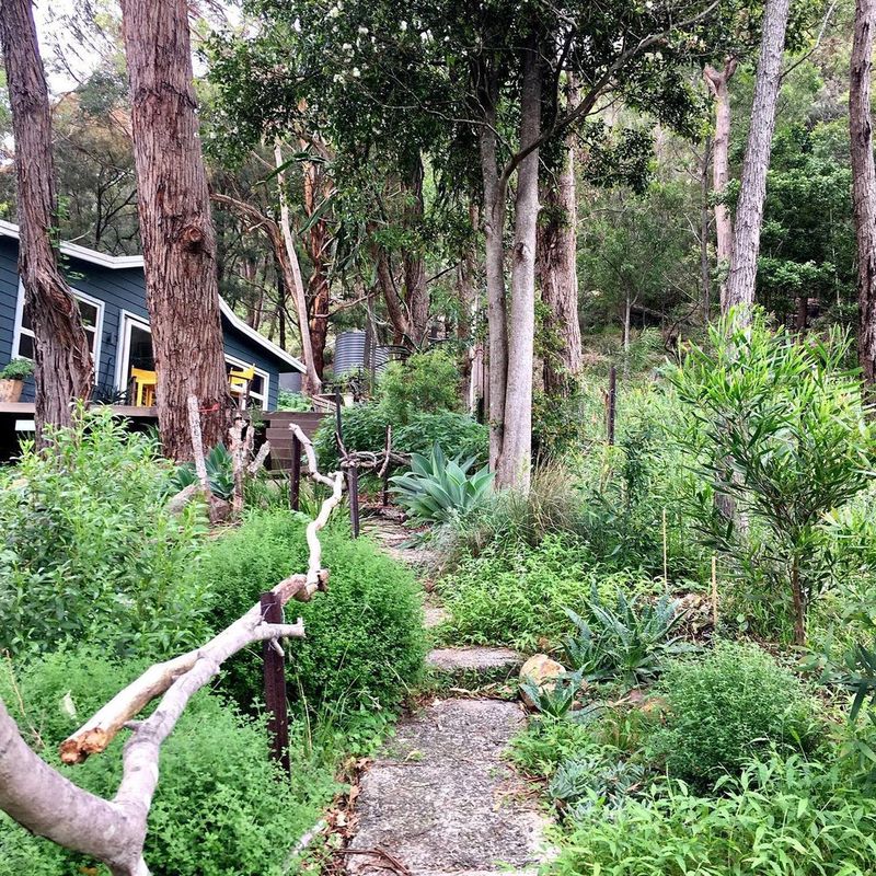 Home garden in Sydney, Australia