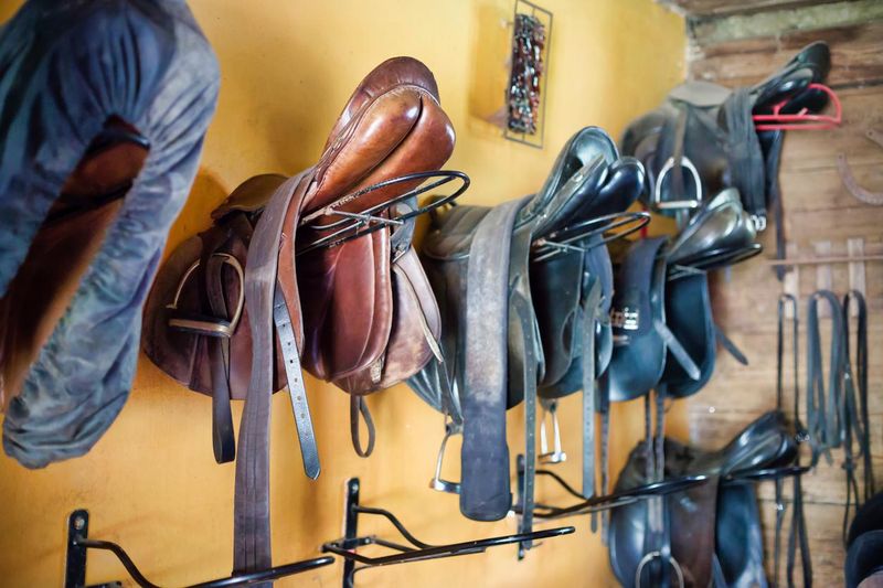 Horse saddles hanging in stables