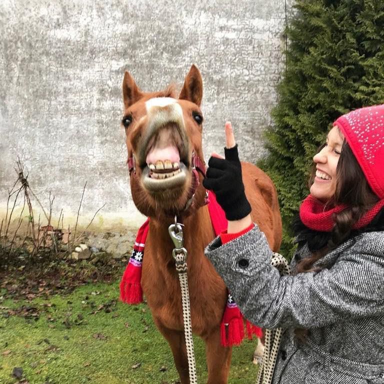 Horse Smiling with Woman