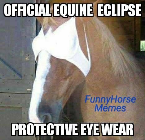 Horse with eyes covered meme