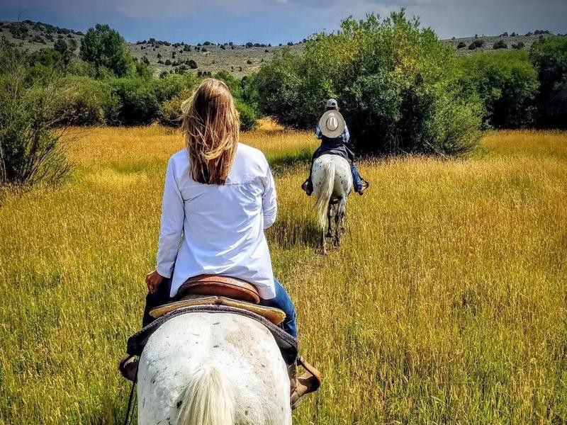 Horses at Bush Creek Ranch