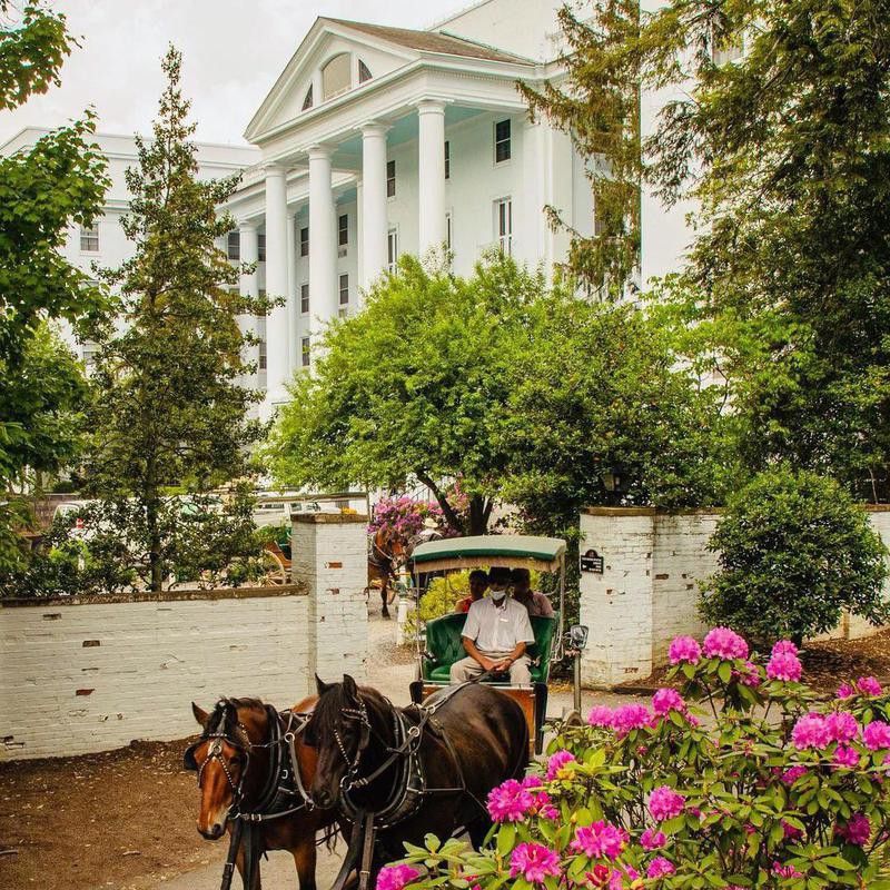 Horses in front of The Greenbrier