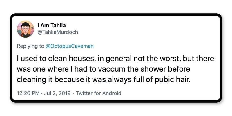 House cleaner