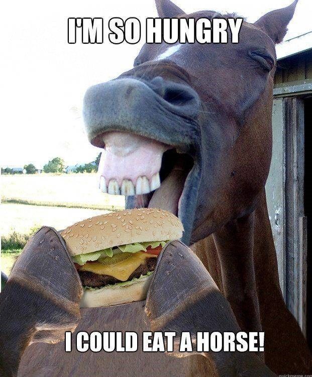 Hungry horse