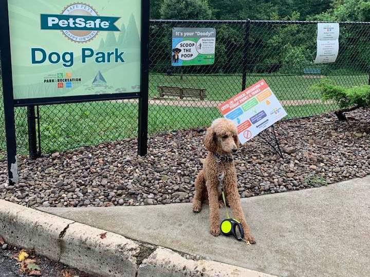 Huntington's PetSafe Dog Park
