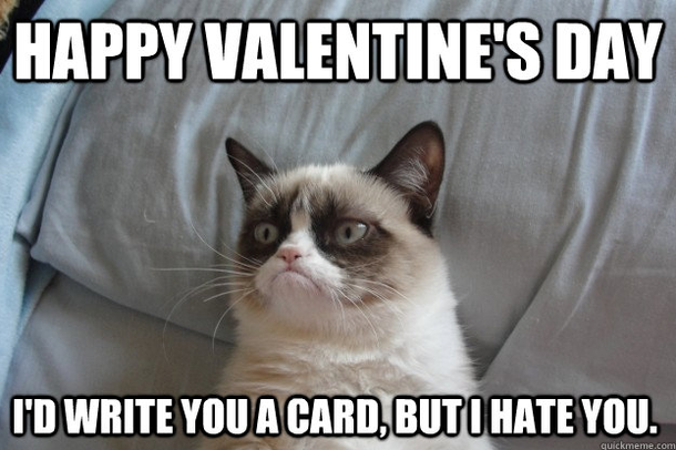 I hate you cat Valentines' Day meme