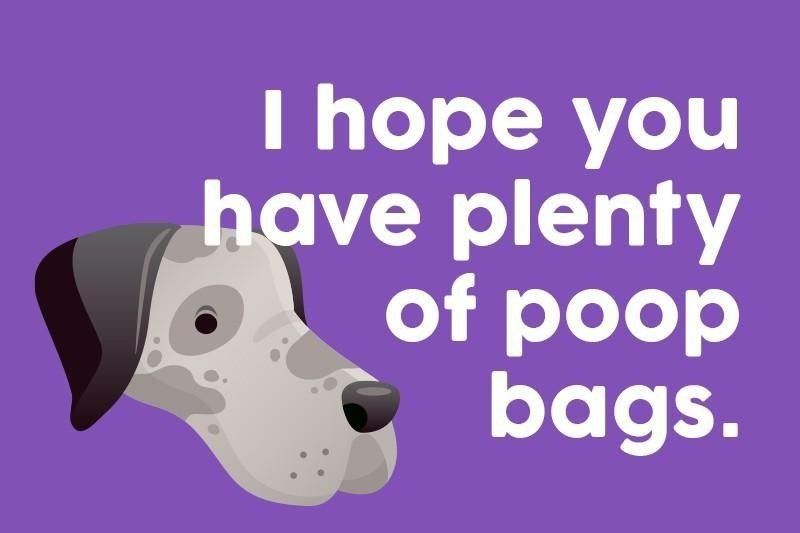 I hope you have plenty of poop bags.