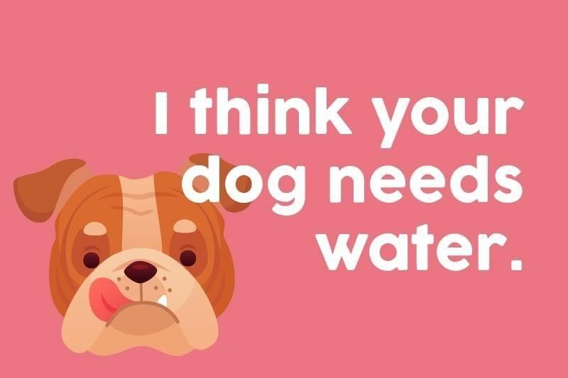 I think your dog needs water.