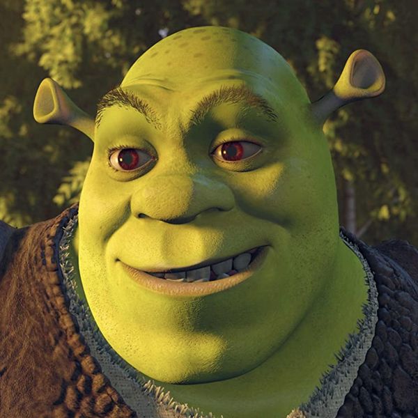 Funny Shrek Memes That the Whole Family Will Laugh At