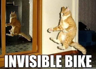 Invisible bike cat meme
