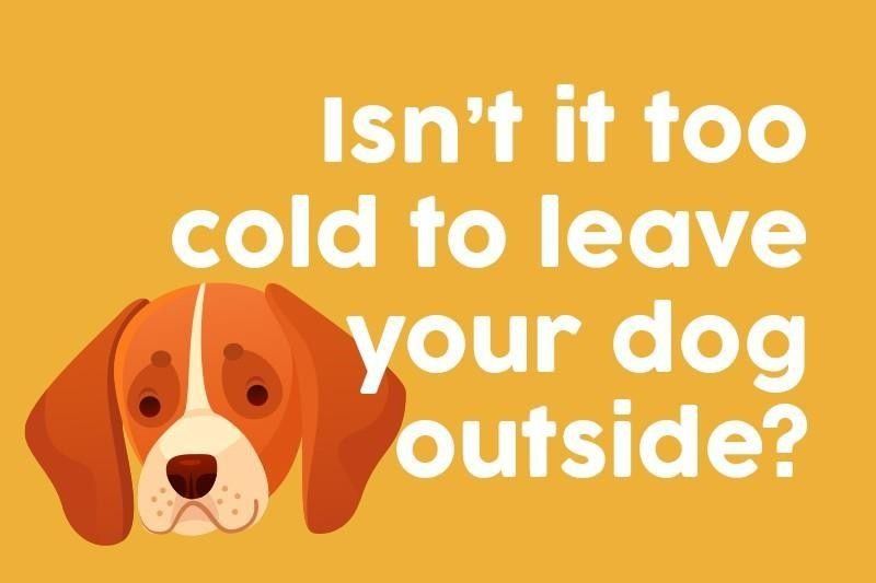 Isn’t it too cold to leave your dog outside?