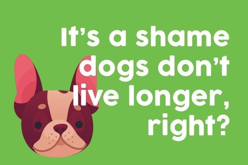 It’s a shame dogs don’t live longer, right?