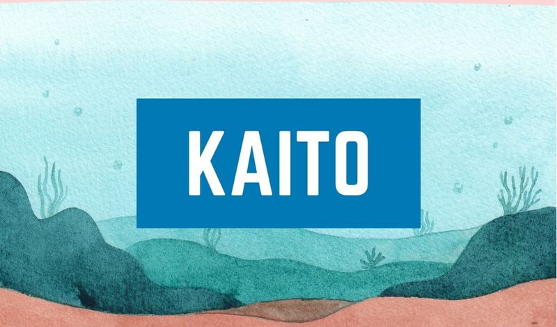 Japanese Boy Name Kaito