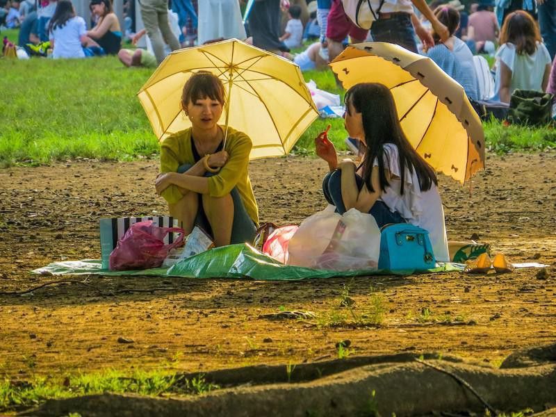Japanese picnic