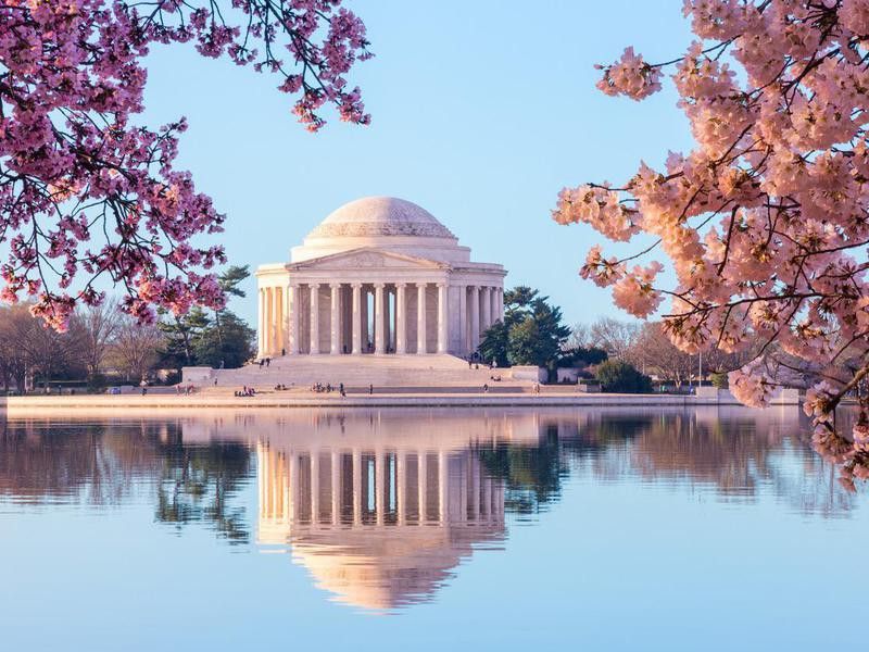 Jefferson Memorial with cherry blossoms, Washington, D.C.