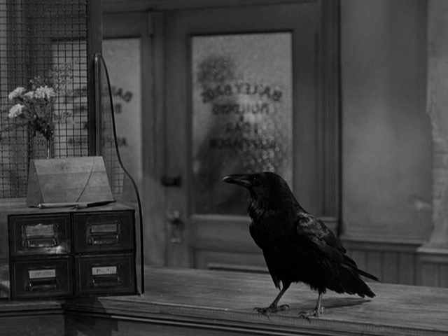 Jimmy the Raven (aka, Jimmy the Crow)