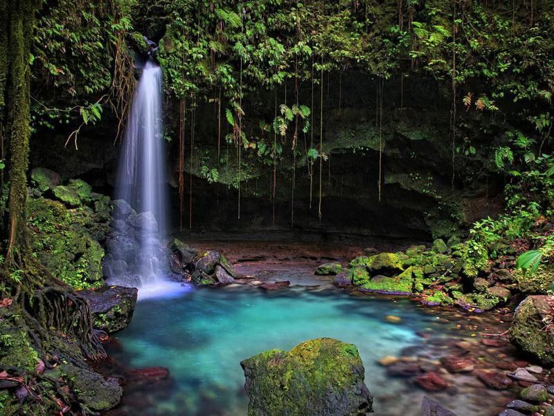 Jungle waterfall in Dominica