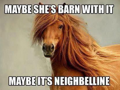 Just horsin' around with a funny horse meme